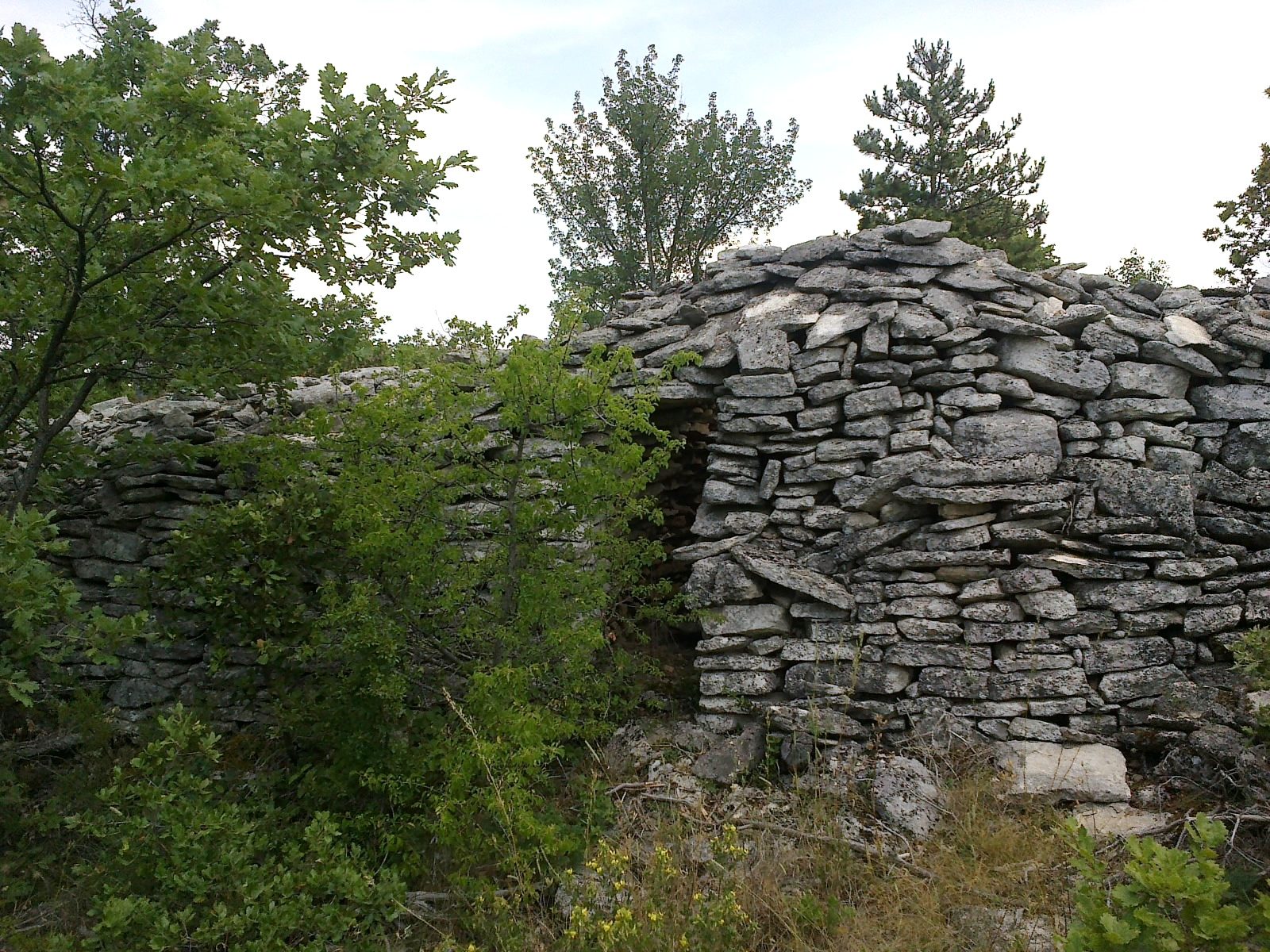 De garrigue