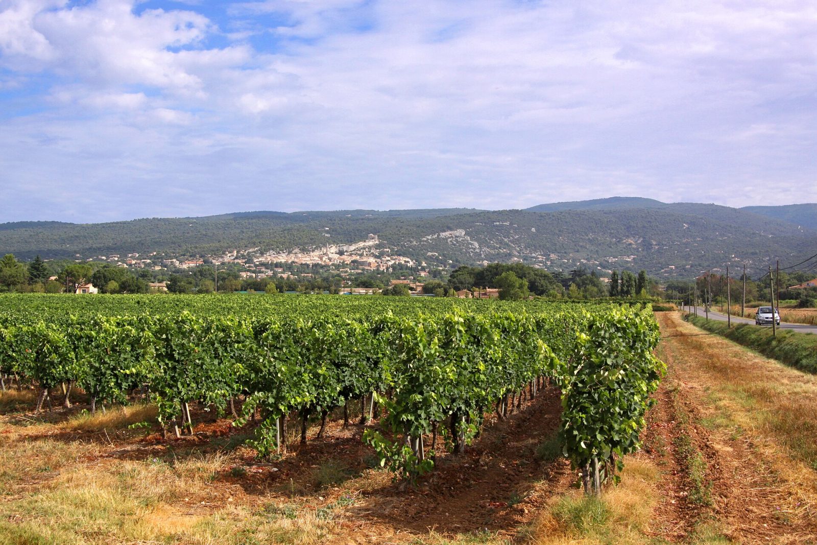 Rondom de Luberon